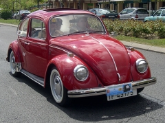 Volkswagen_Beetle_5.jpg