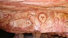 australie-des-peintures-rupestres-aborigenes-datees-grace-a-des-guepes-maconnes.jpg